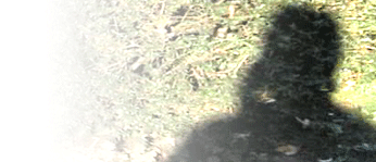 Natalie Bosien - Portrait